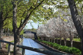 Blackbird Cottage - Stunning views & farm animals, Tanunda